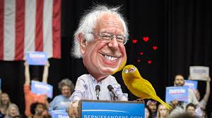 BirdieSanders