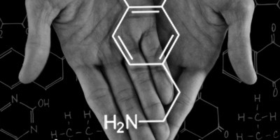 The Dopamine of Social Media, The Dopamine of Trolling