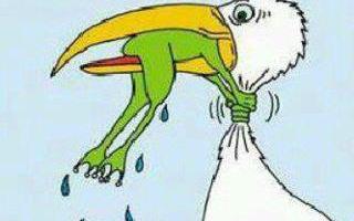 Prospect Theory, Kahneman, Tversky, risk averse, risk seeking, Bernie, Sanders