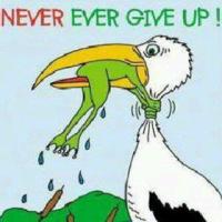 NeverGiveUp
