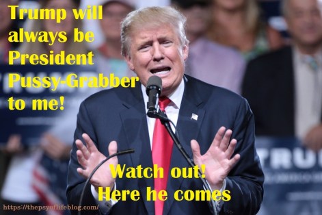 presidentpussygrabber