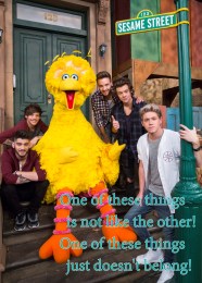 bigbird1ofthesethings
