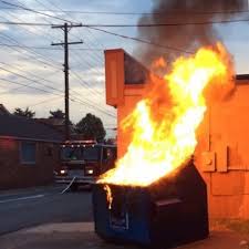 dumbsterfire