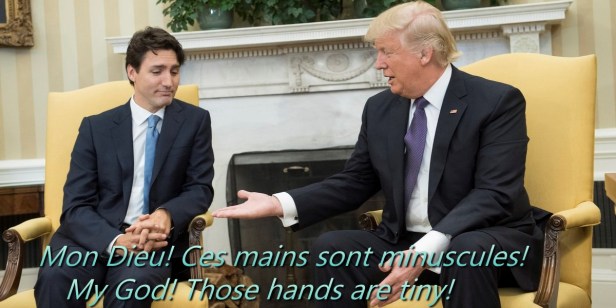 trudeaupghandsmeme