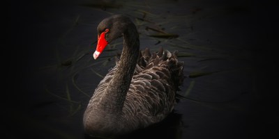 How do we know when someone is behaving abnormally?