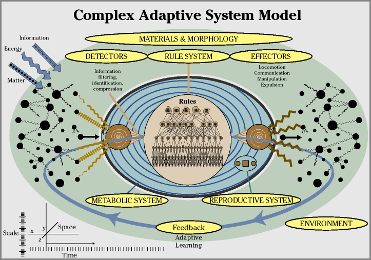 Does the complex-adaptive system model account for autism?