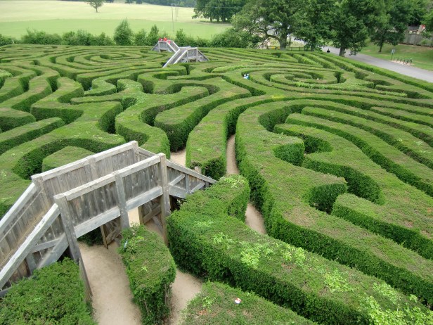 Why are Republicans so opposed to public healthcare? What could explain Republican opposition to universal healthcare?