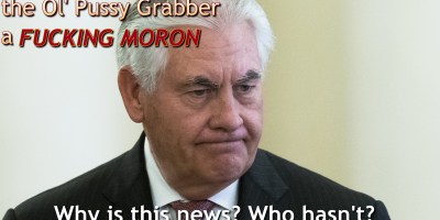 Rex Tillerson, Secretary of State, Ol' Pussy Grabber, Trump, Fucking, Moron