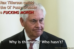 Rex Tillerson, Secretary of State, Ol' Pussy Grabber, Trump, Fucking, Moron