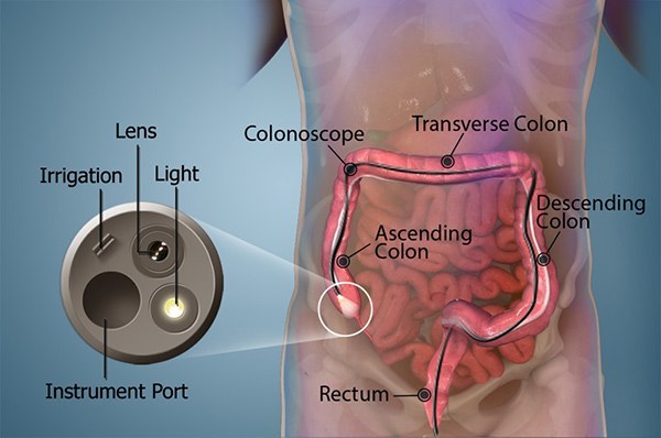 What explains the consistency of Trump's approval rating?