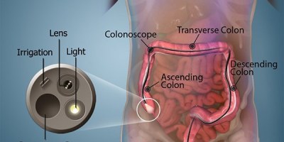What explains the consistency of Trump's approval rating?