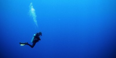 What explains opposition to Trump's impeachment?