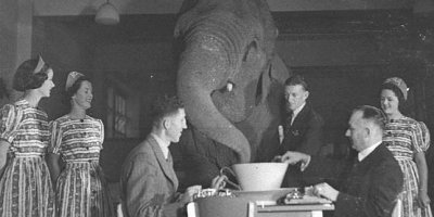 What cognitive biases explain Trump's impeachment defense