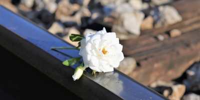 What are the things that we can do to prevent suicide?