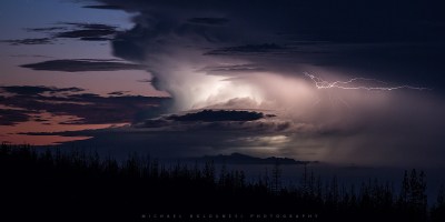 Psychological Causes of Trump