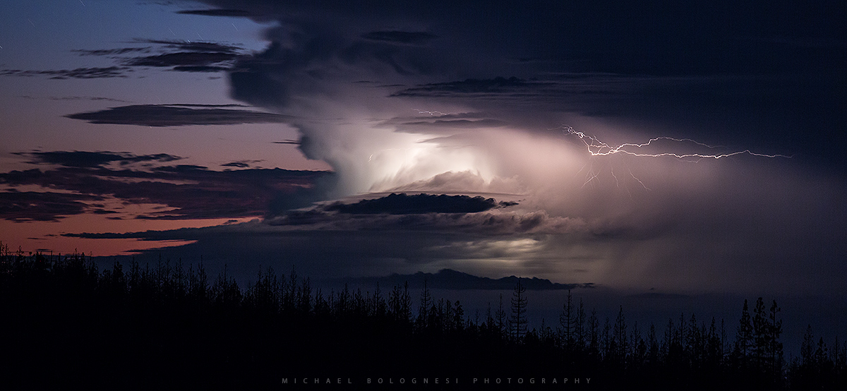 Psychological Causes of Trump