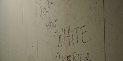 What the Fuck is Wrong with White Voters