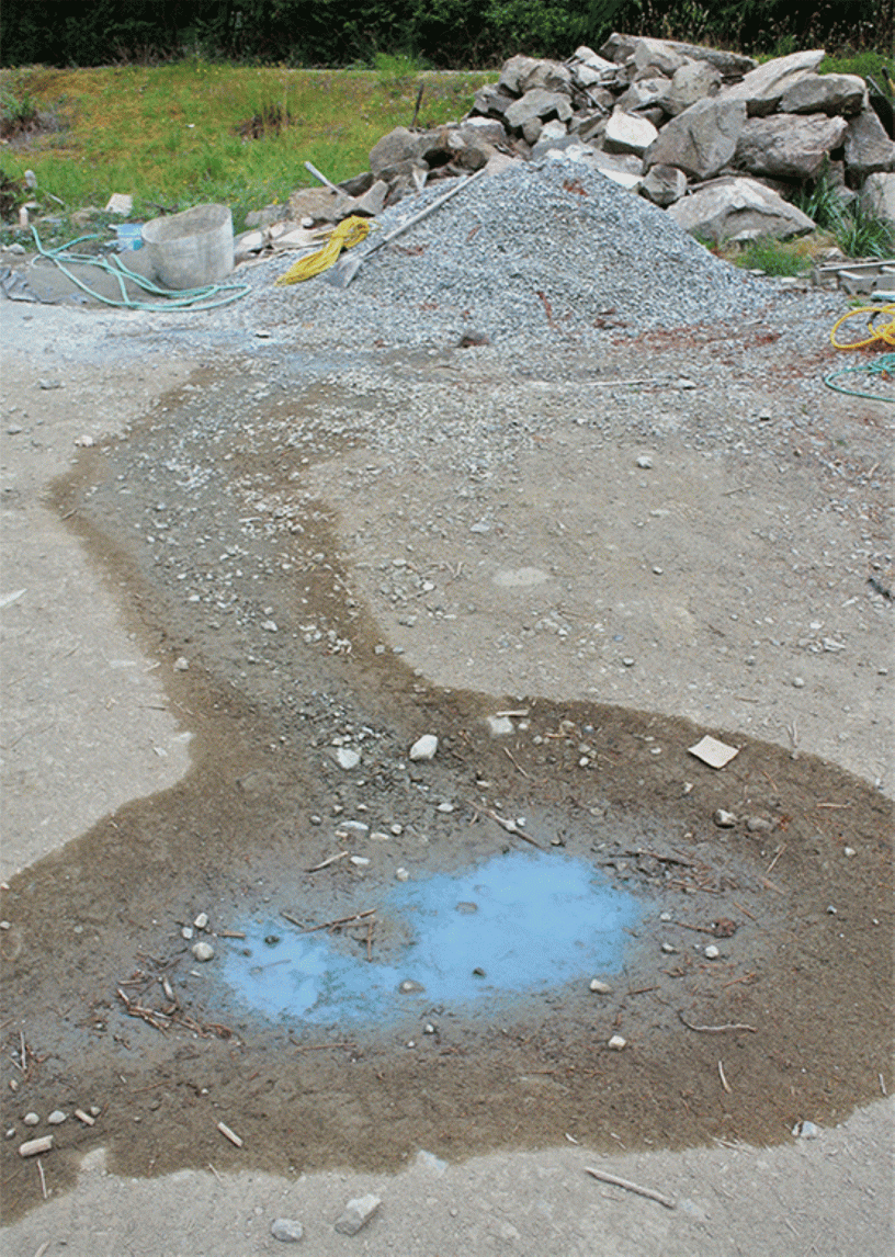 Why was Election 2020 so Disappointing?