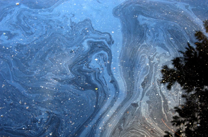 Diffusion of Responsibilty Helps and Hurts Trump's Coup