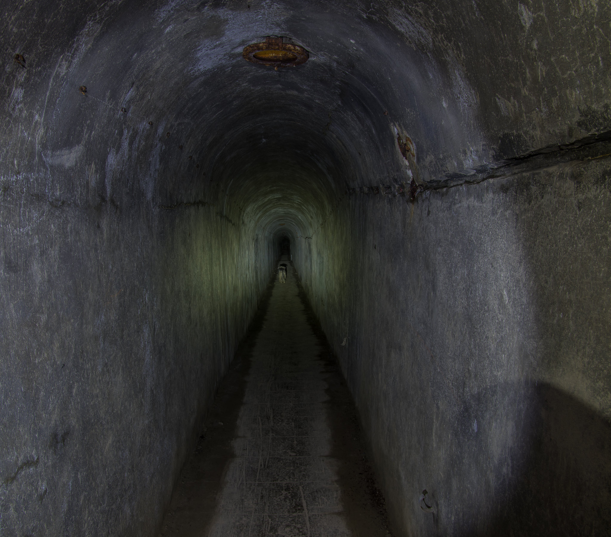 What is the Deep Culture Foundation of Trump's Insurrection Riot