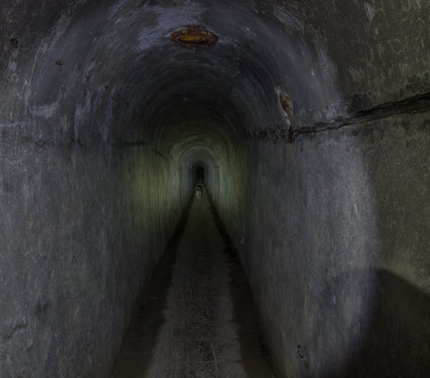 What is the Deep Culture Foundation of Trump's Insurrection Riot