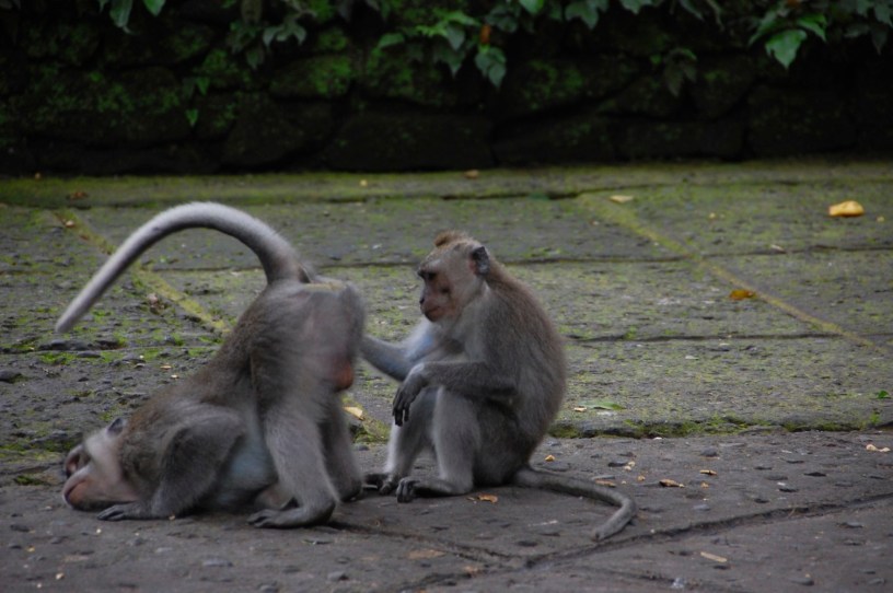 Why do we feel so bad after the impeachment acquittal?