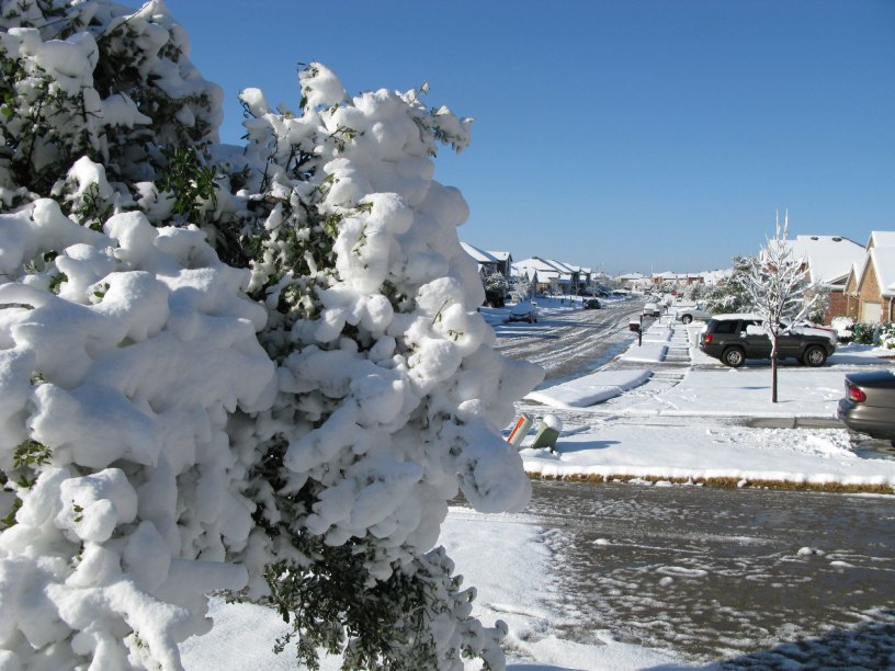 The Texas Utility Disaster is the coming Republican Dystopia