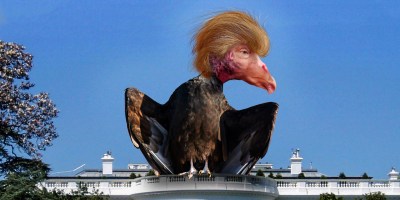 How did Trump's #COVID19 pandemic response contribute to the decline in US life expectancy?