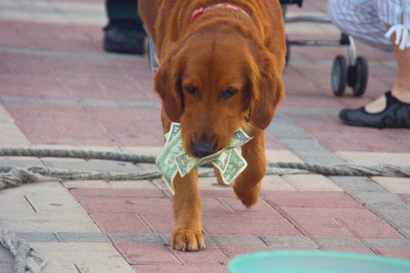 How much money did Ye Olde Blogge find?