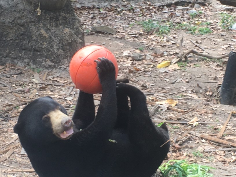 Where did Ye Olde Blogge go? What did Ye Olde Blogge do? Who did Ye Olde Blogge free?