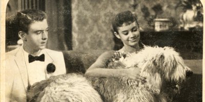 The case of the disappearing kidney stone, how did it get resolved?