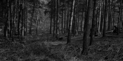 How can we overcome the authoritarian moment we are living through?