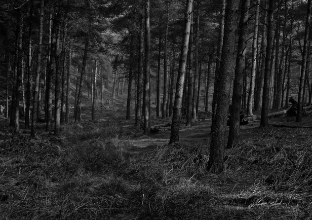 How can we overcome the authoritarian moment we are living through?