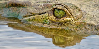 Why do white people make up white grievance when Black people are suffering early deaths from systemic racsim?