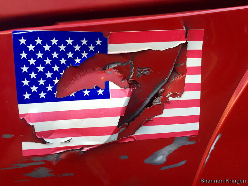 Is there a political model that will help us predict the direction that our democracy will take in the next year or so?