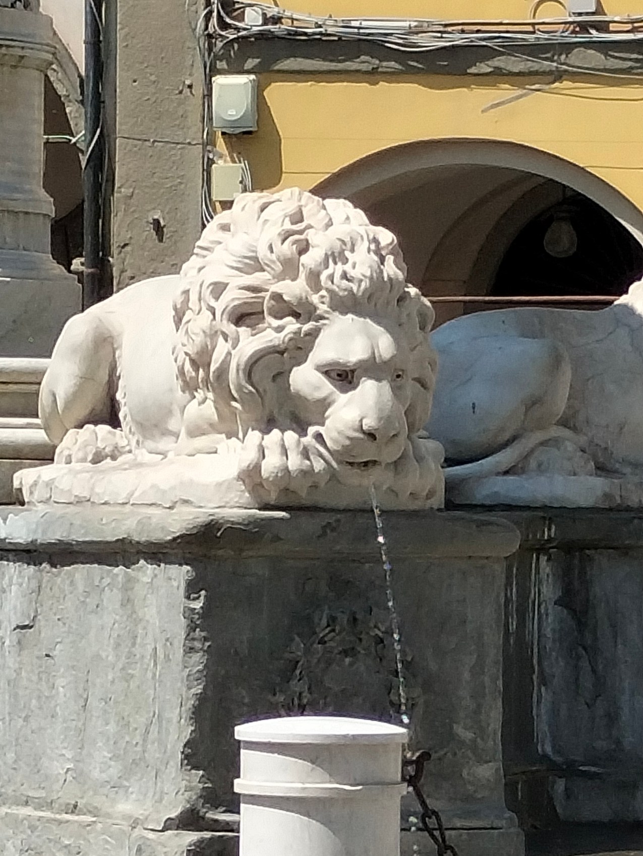 Another Renaissance lion