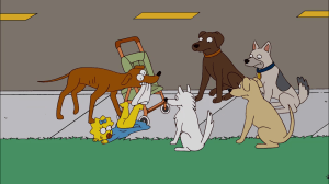 How easy did Trump's narcissism make baiting him into making his ridiculous racist comments about Haitians eating pets in Springfield, Ohio?