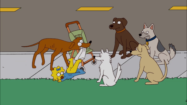 How easy did Trump's narcissism make baiting him into making his ridiculous racist comments about Haitians eating pets in Springfield, Ohio?