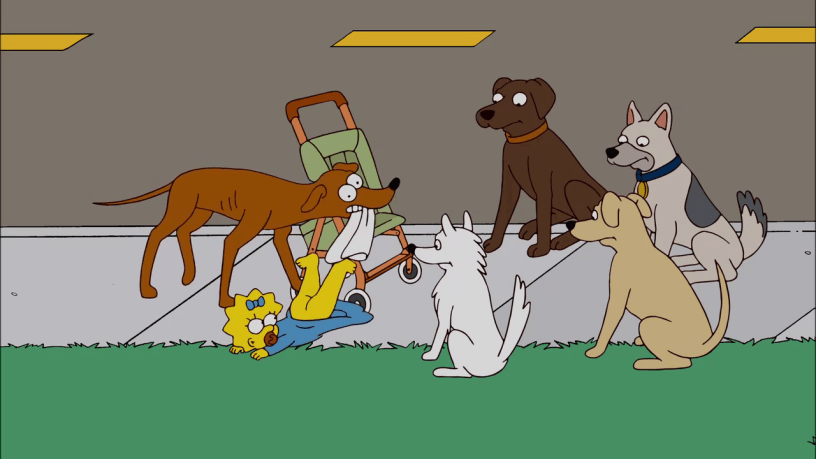 How easy did Trump's narcissism make baiting him into making his ridiculous racist comments about Haitians eating pets in Springfield, Ohio?